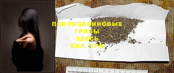 стафф Алексеевка